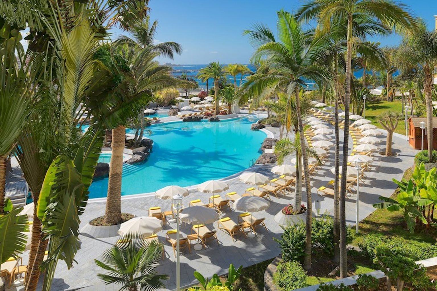 en stor swimmingpool omgiven av palmer och stolar på en resort