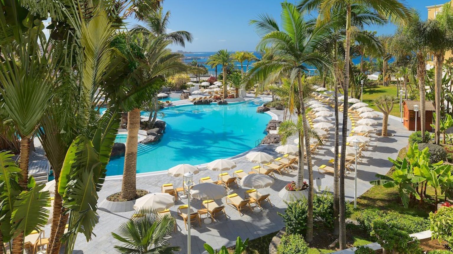 en stor swimmingpool omgiven av palmer och stolar på en resort