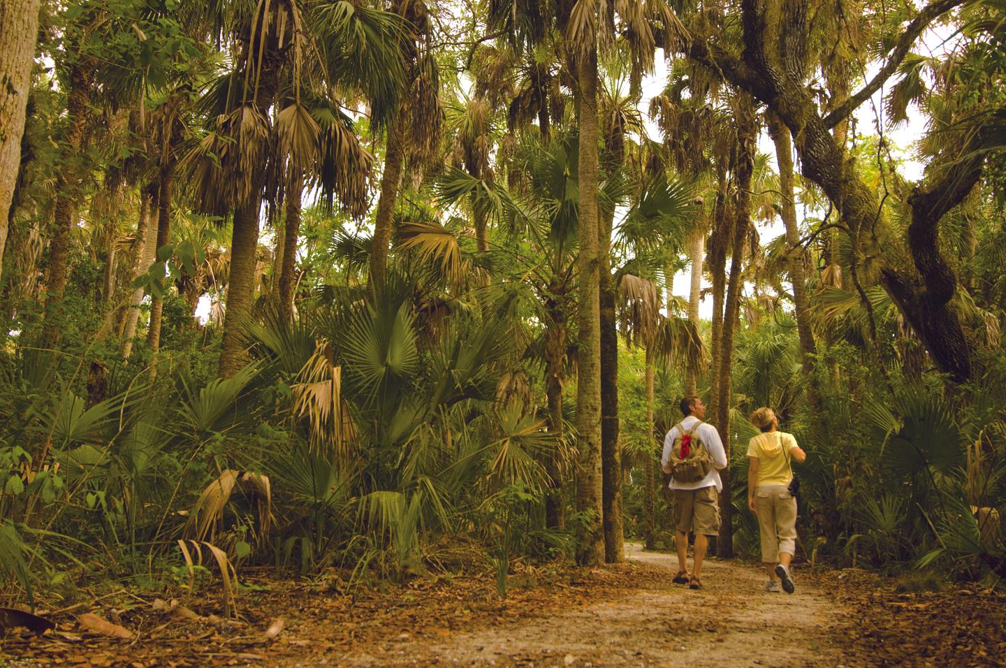 en mann og en kvinne går ned en grusvei i skogen.