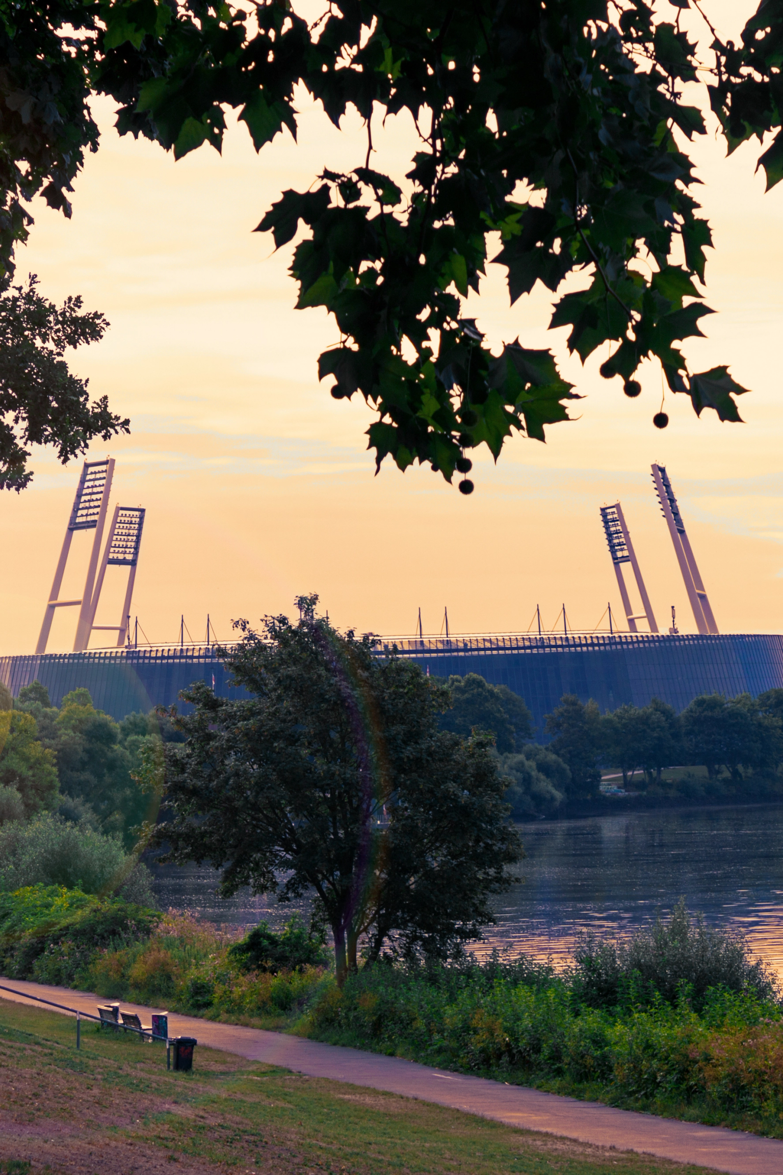 Un estadio, río y parque al atardecer, enmarcado por hojas de árboles.