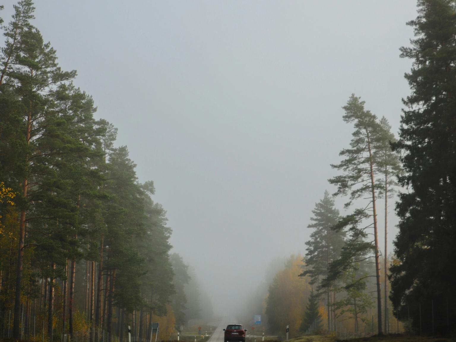 a car is driving down a foggy road