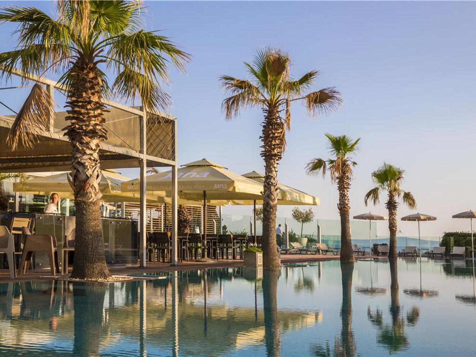 Sunny resort swimming pool with palm trees, an outdoor bar, and a distant ocean view. Radisson Blu Resort and Spa