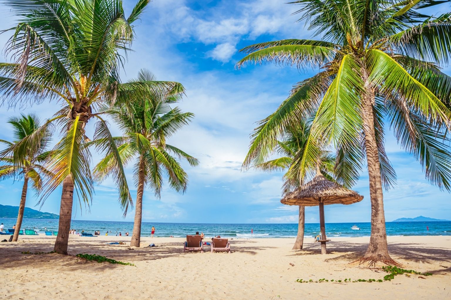 Tropisk strand med palmer, en stråparasol, strandstole og havet under en blå himmel. Da Nang - Vietnam