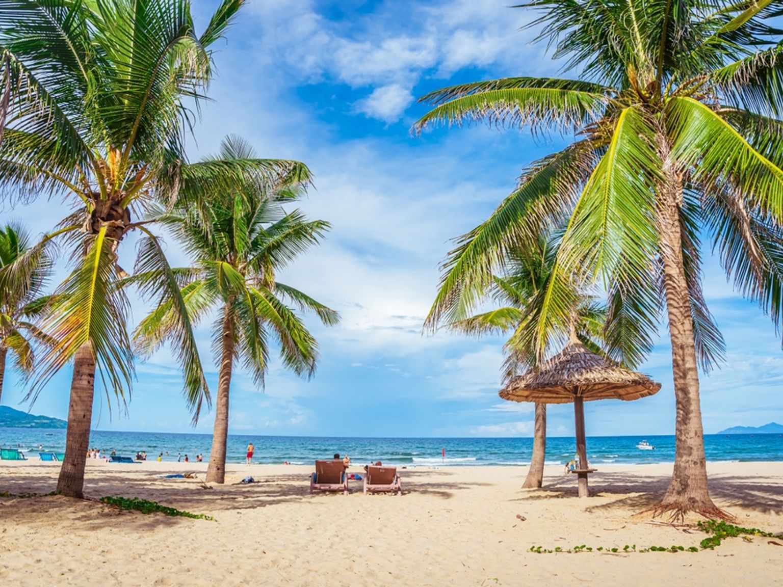 Tropisk strand med palmer, en stråparasol, strandstole og havet under en blå himmel. Da Nang - Vietnam