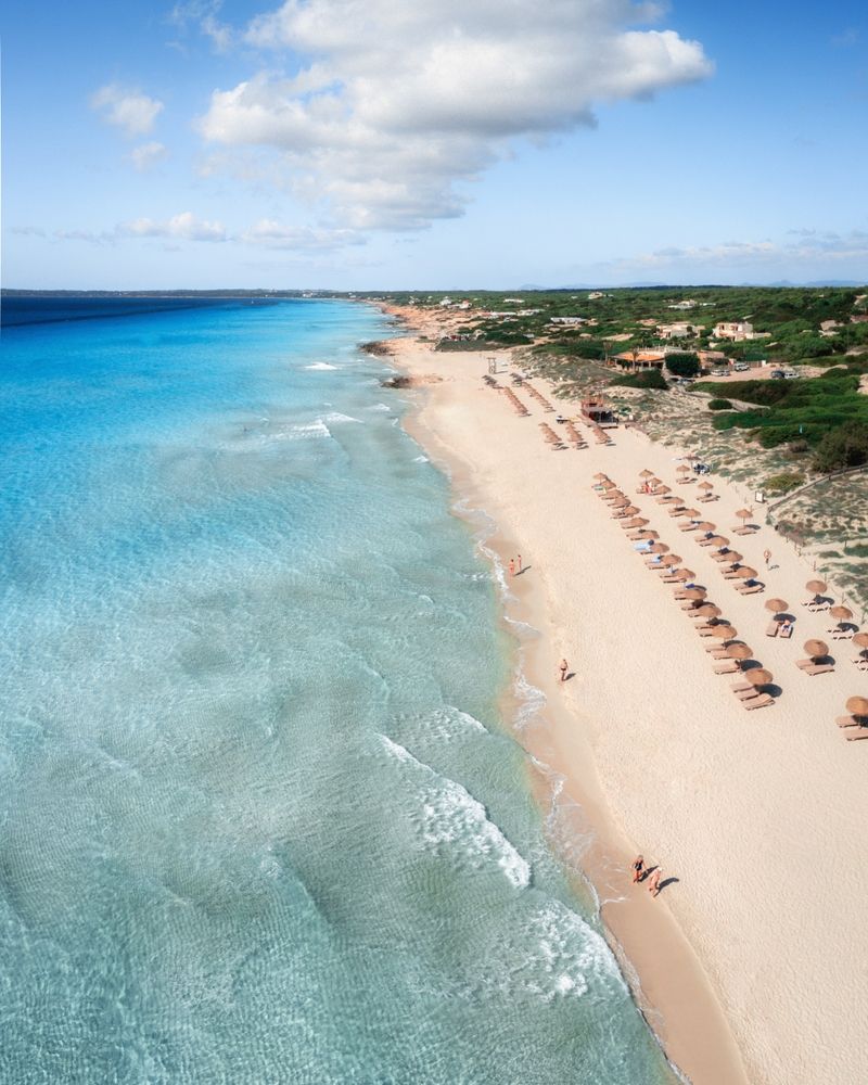 Flygfoto av en solig strand med klart turkost vatten och rader av solstolar. Formentera, Spanien