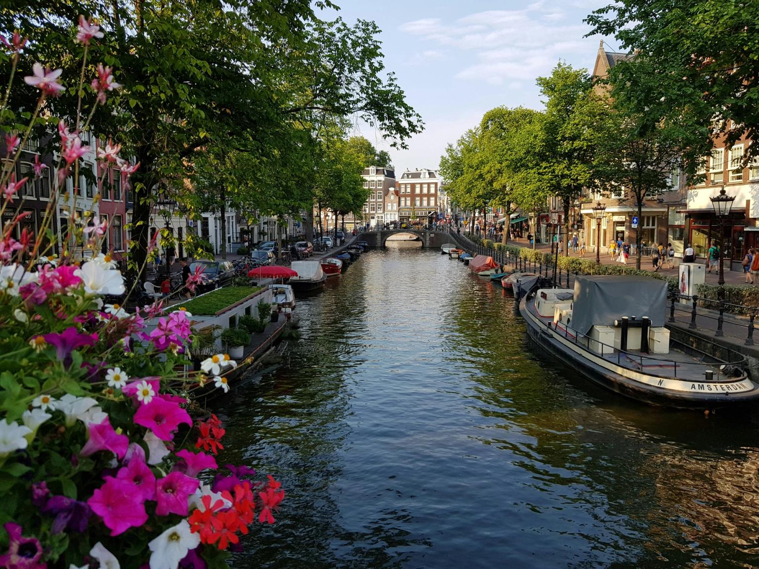 en kanal i amsterdam med båter og blomster i forgrunnen