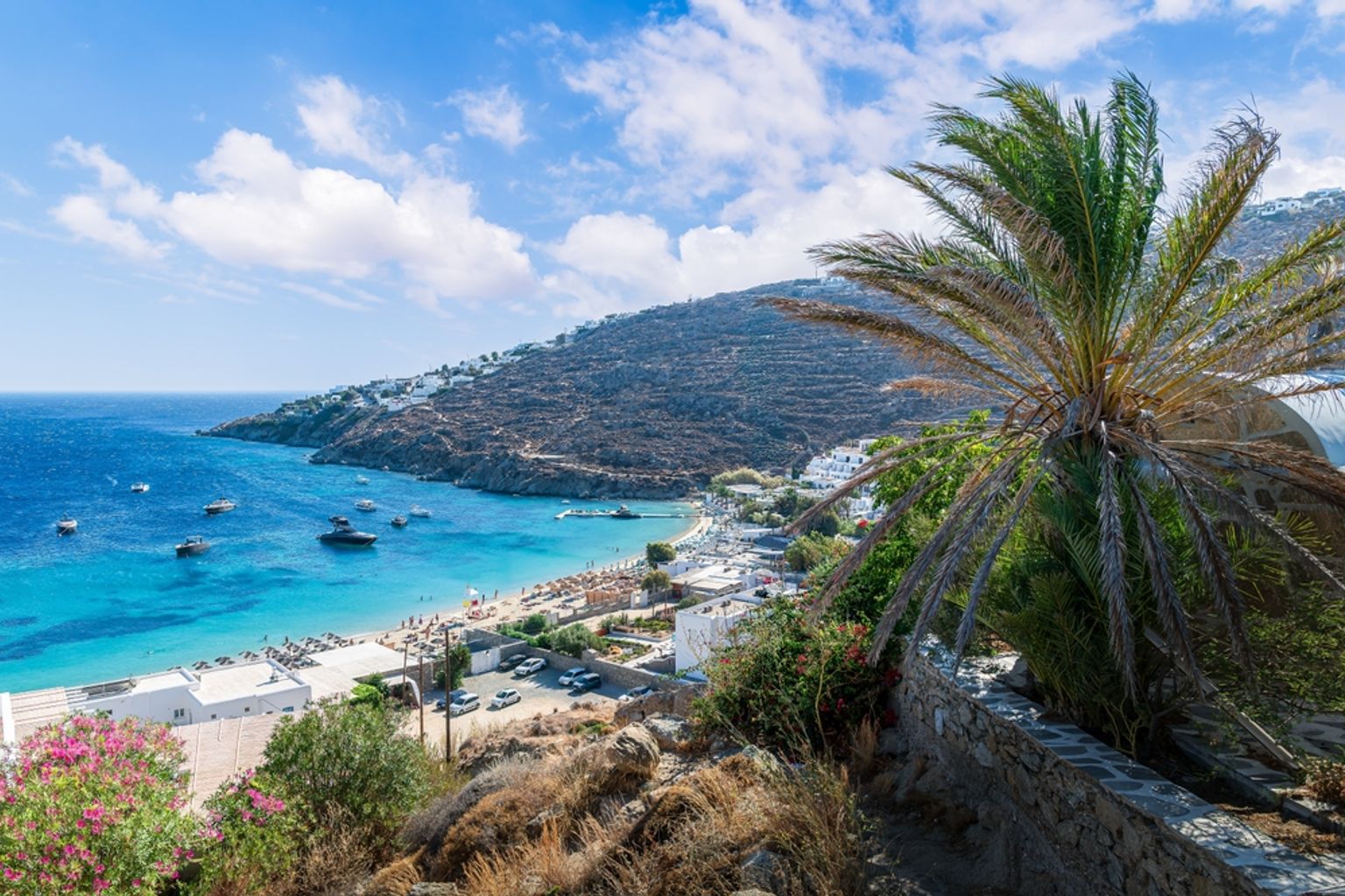 Utsikt ovenfra over en vakker blå bukt med en strand, båter og hvite bygninger, innrammet av en palme og en åsside. Mykonos, Hellas