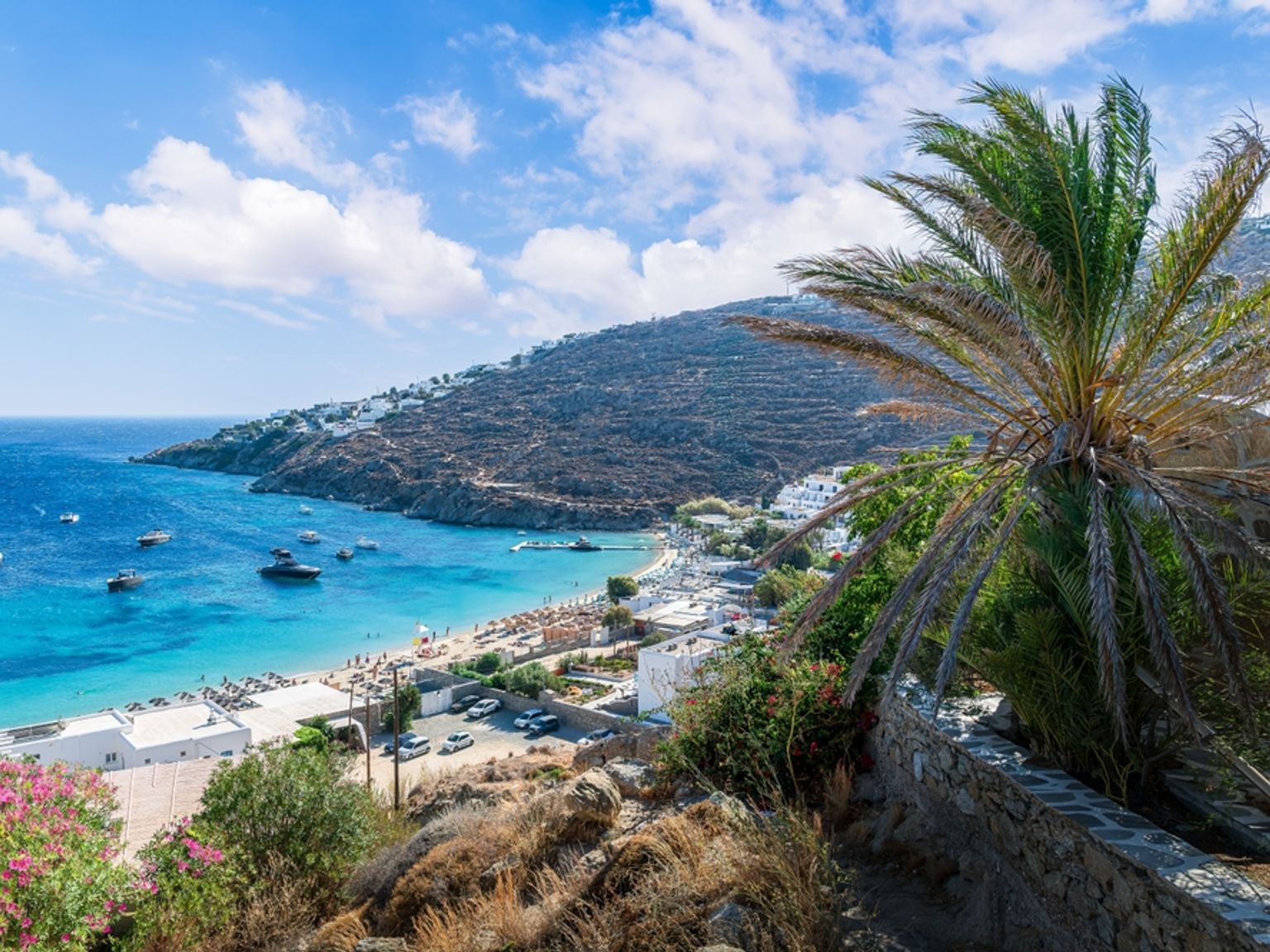 Utsikt ovenfra over en vakker blå bukt med en strand, båter og hvite bygninger, innrammet av en palme og en åsside. Mykonos, Hellas