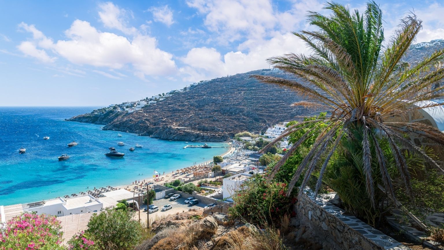 Utsikt ovenfra over en vakker blå bukt med en strand, båter og hvite bygninger, innrammet av en palme og en åsside. Mykonos, Hellas