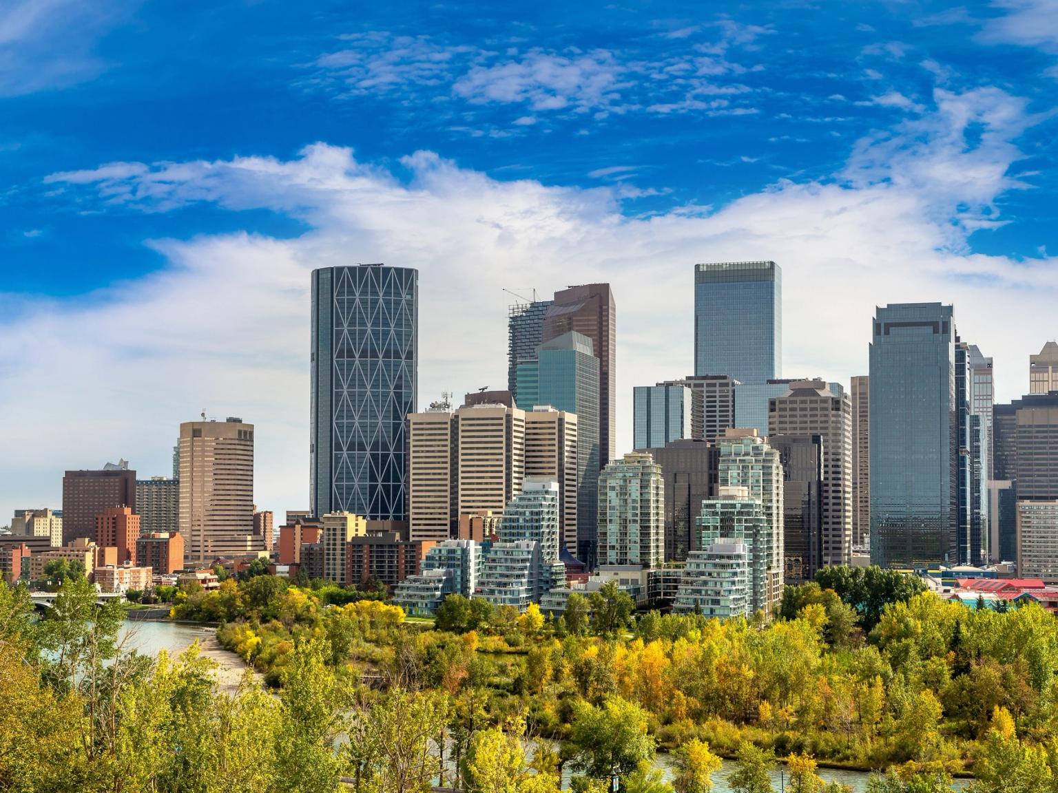 en byskyline med trær i forgrunnen og en elv i bakgrunnen