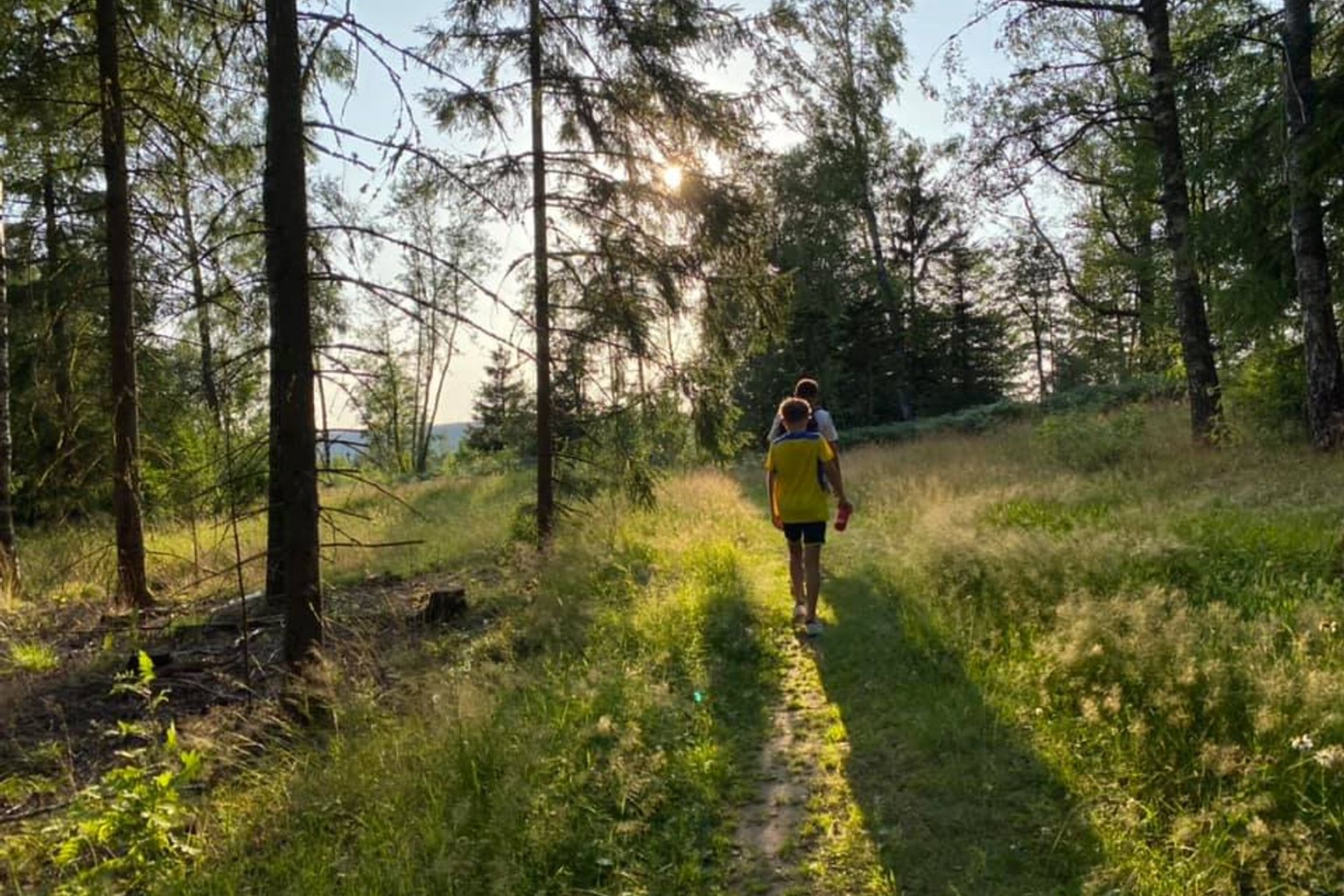 en mand og et barn går ned ad en sti i skoven