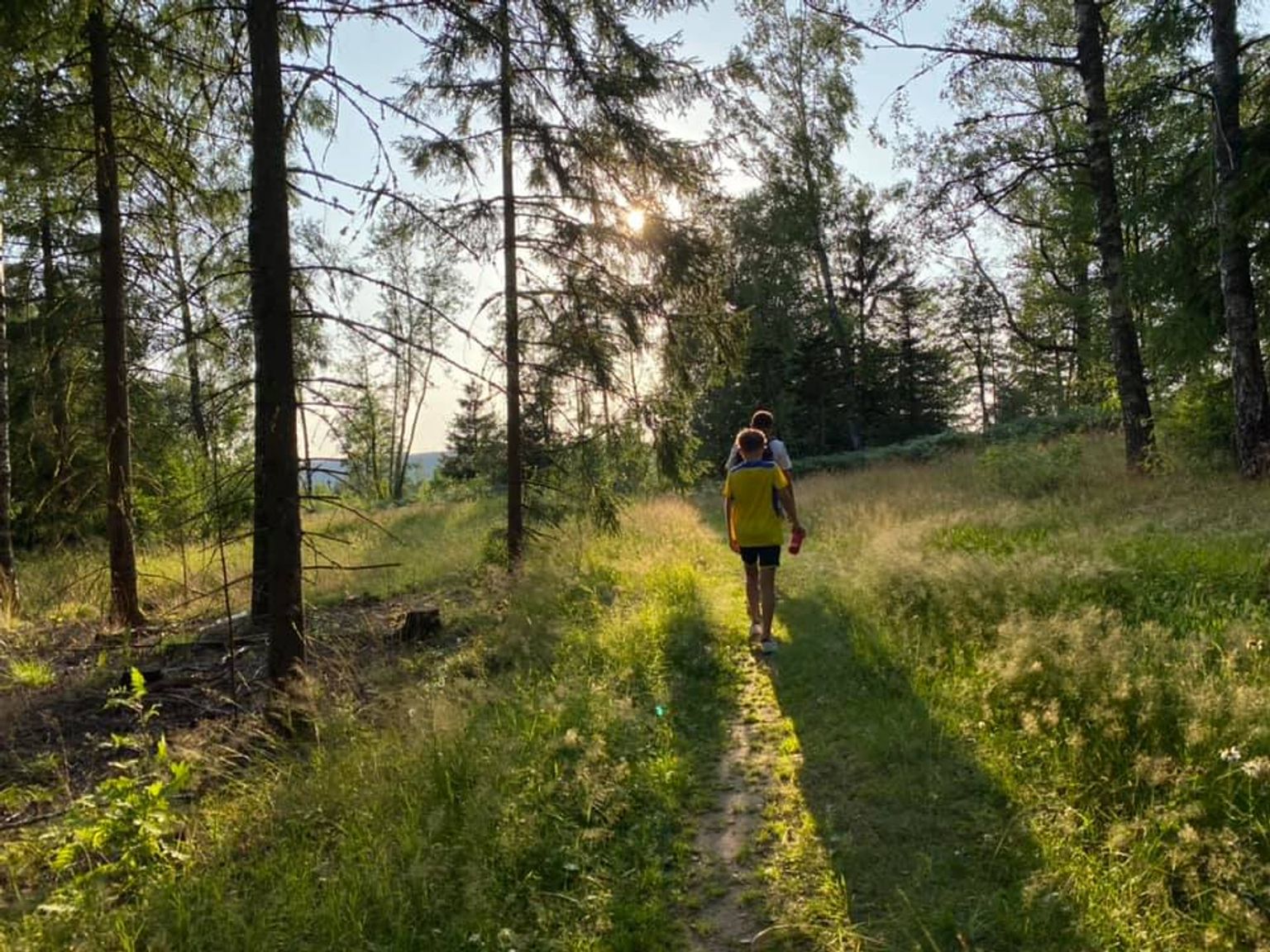 en mand og et barn går ned ad en sti i skoven
