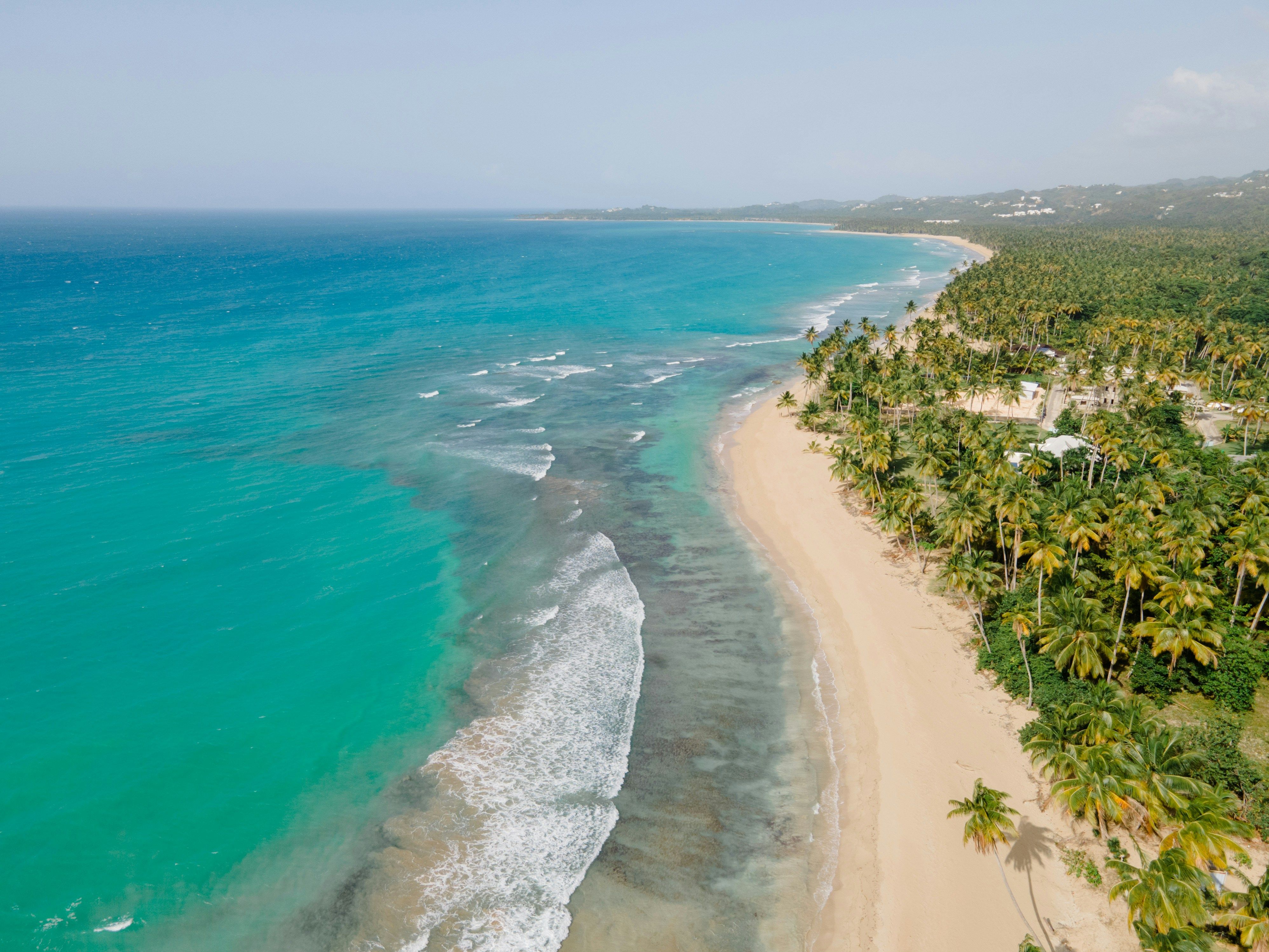 Flygfoto av en tropisk strand med turkost hav, brytande vågor och rikligt med palmer. Sri Lanka