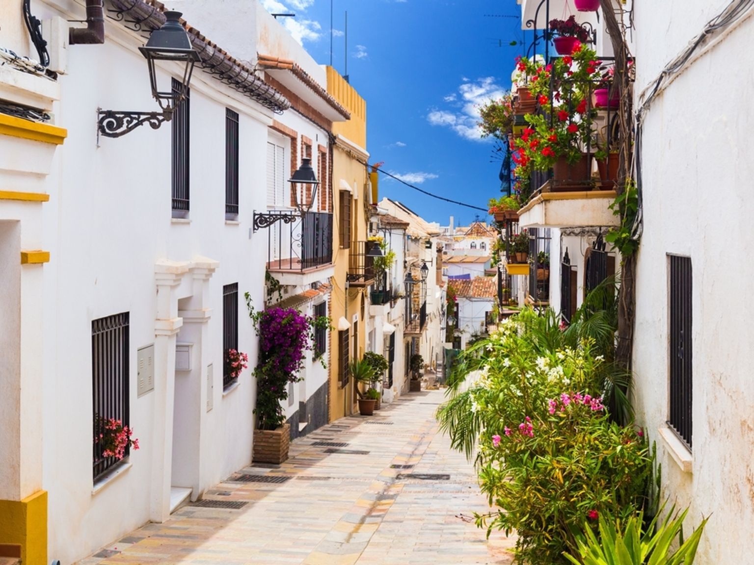 en smal gate omgitt av hvite bygninger og blomster på en solrik dag.