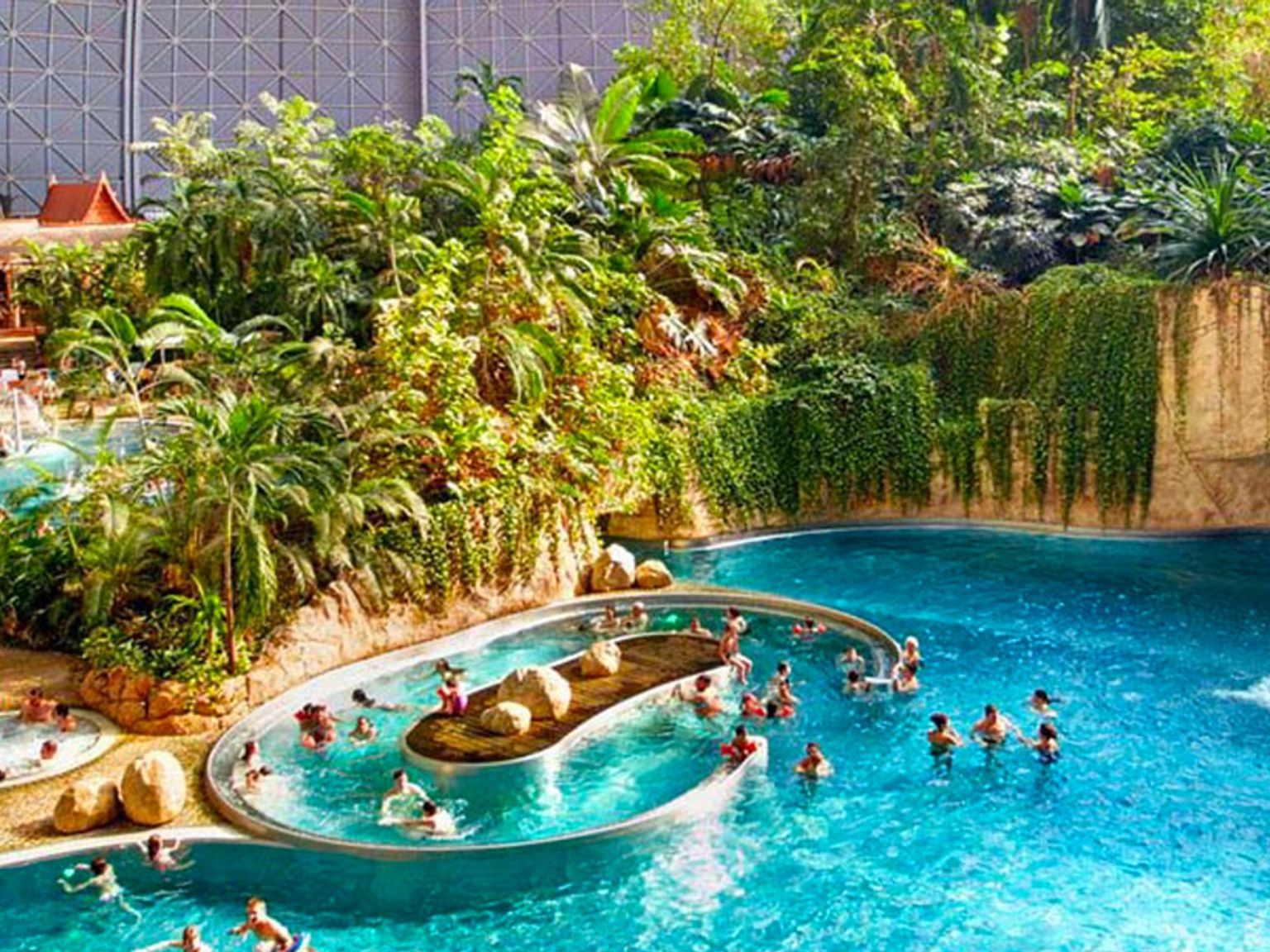 een groep mensen zwemt in een groot zwembad omgeven door bomen