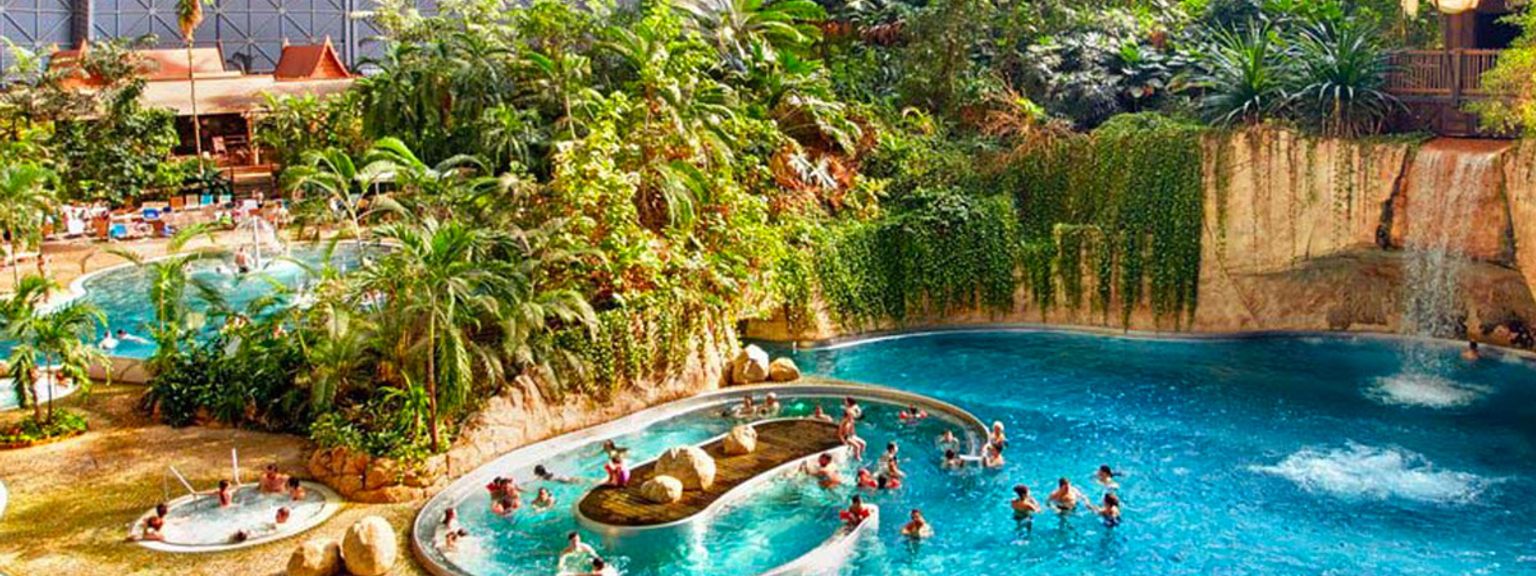 en grupp människor simmar i en stor simbassäng omgiven av träd