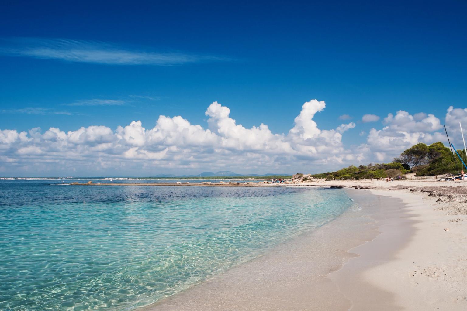 en strand med hvit sand og turkist vann på en solrik dag