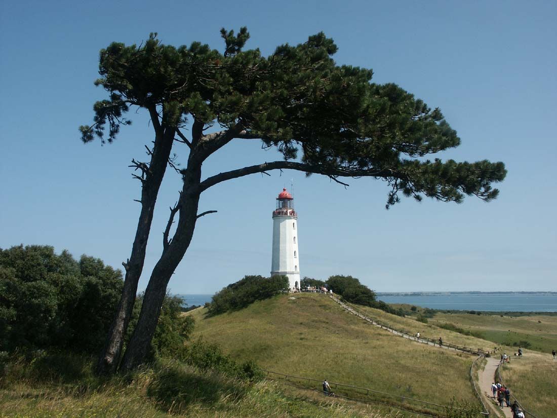 ein Leuchtturm auf einem Hügel mit einem Baum im Vordergrund
