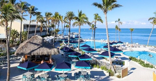 et stort svømmebasseng omgitt av palmer og bord og stoler.