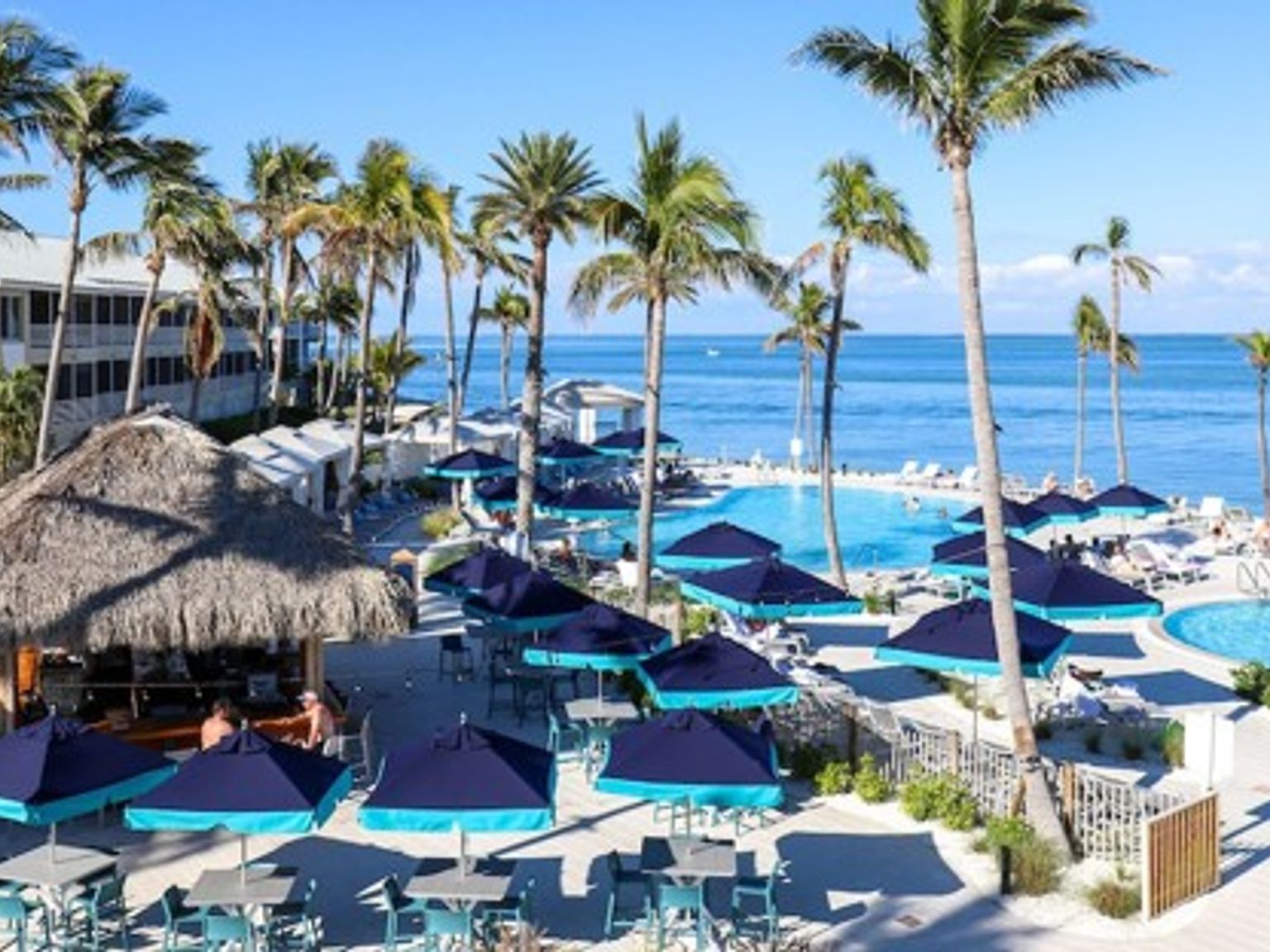 et stort svømmebasseng omgitt av palmer og bord og stoler.