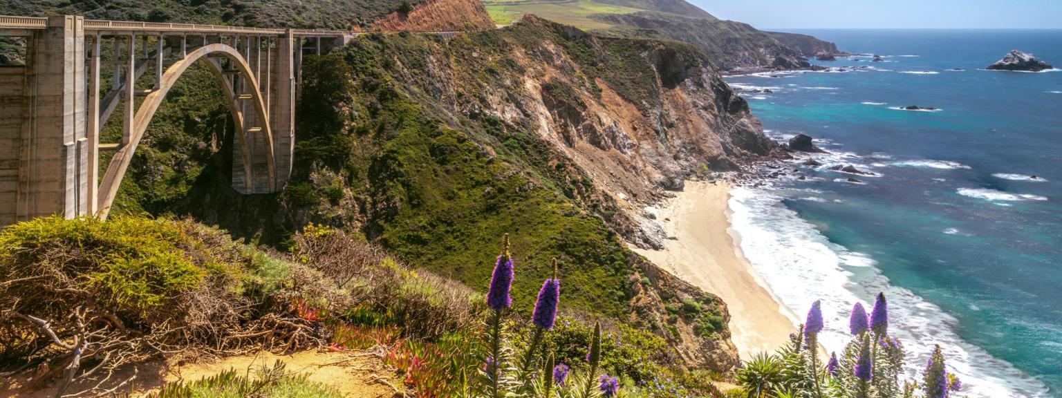 un pont sur un plan d'eau avec des fleurs violettes au premier plan