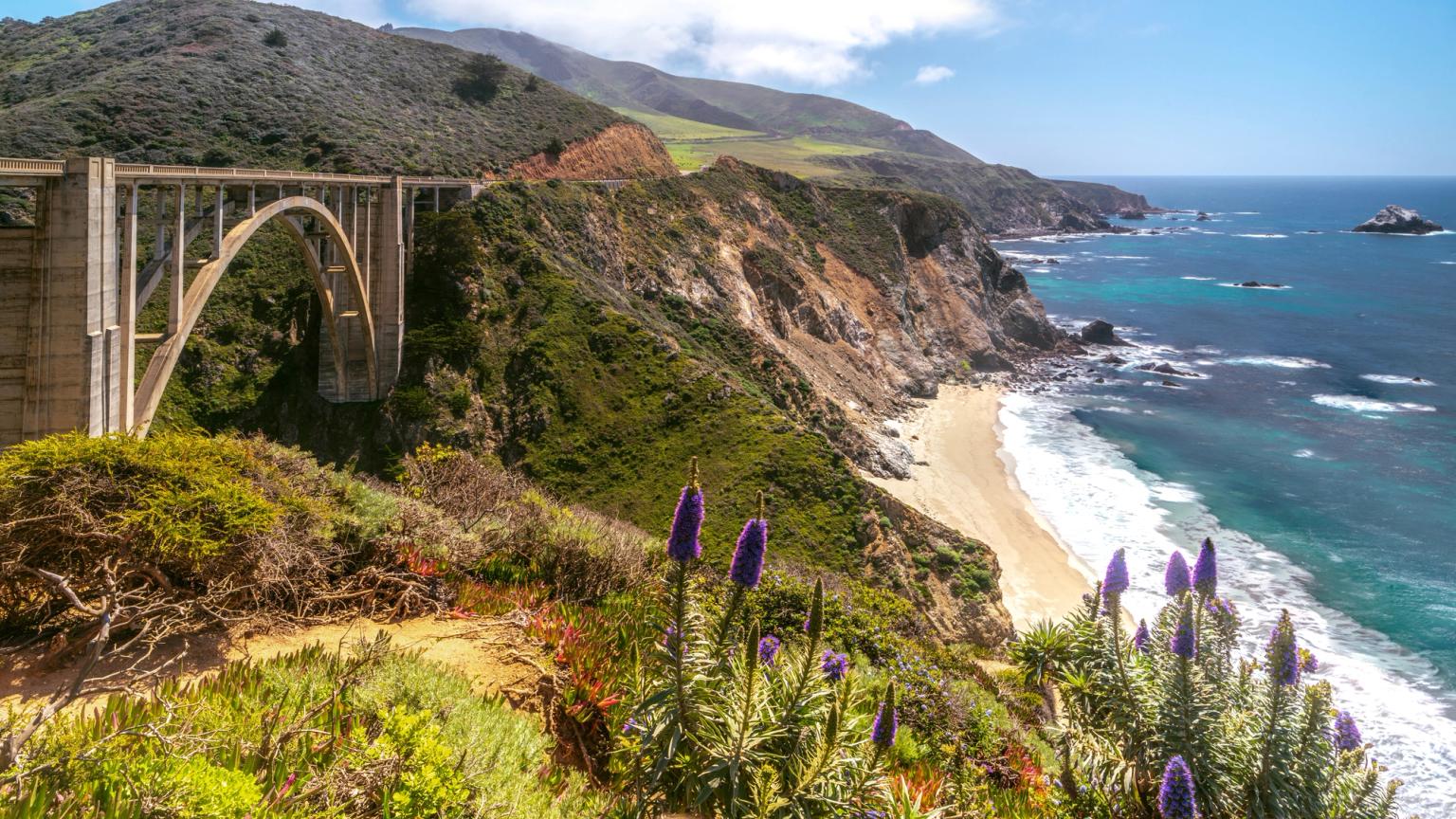 silta vesistön yli, jossa on lila kukkia etualalla