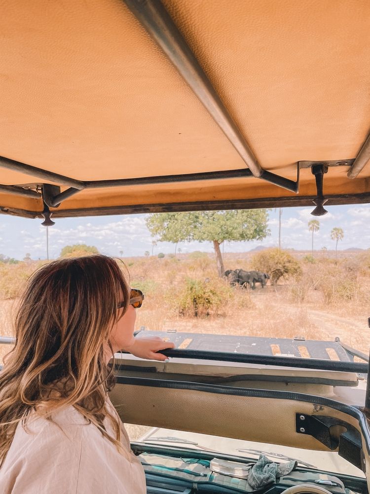 en kvinne i en jeep som ser ut av vinduet på en flokk elefanter, Tanzania