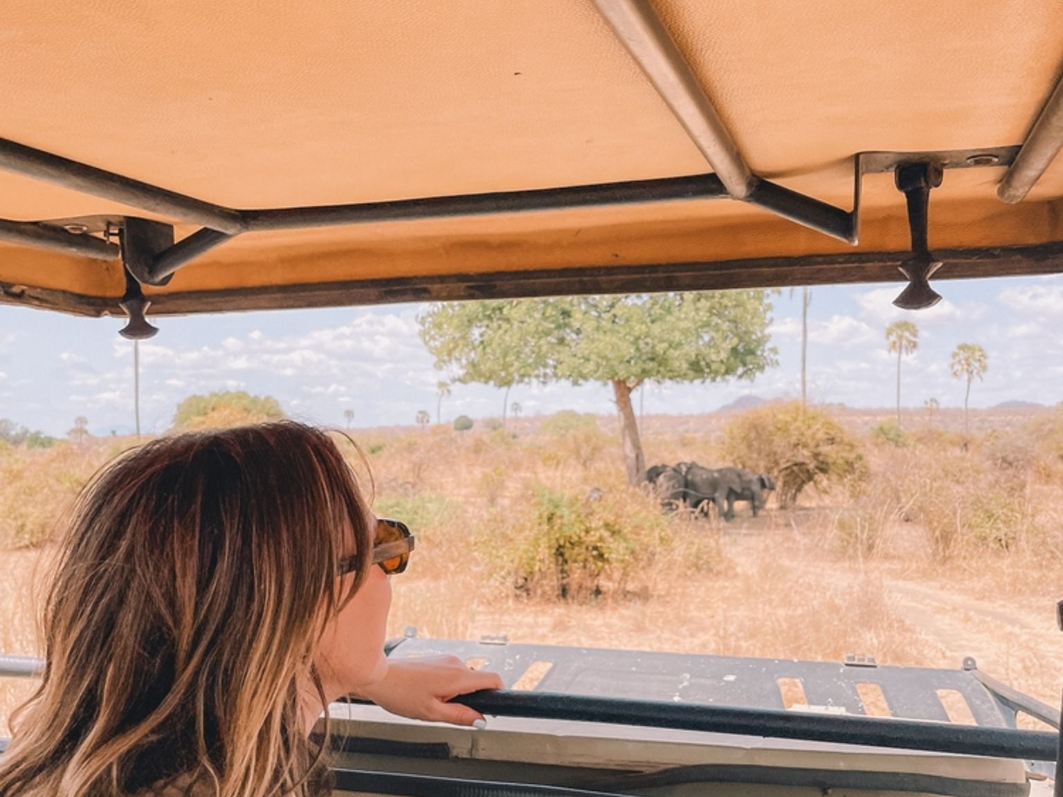 en kvinna i en jeep som tittar ut genom fönstret på en hjord av elefanter, Tanzania