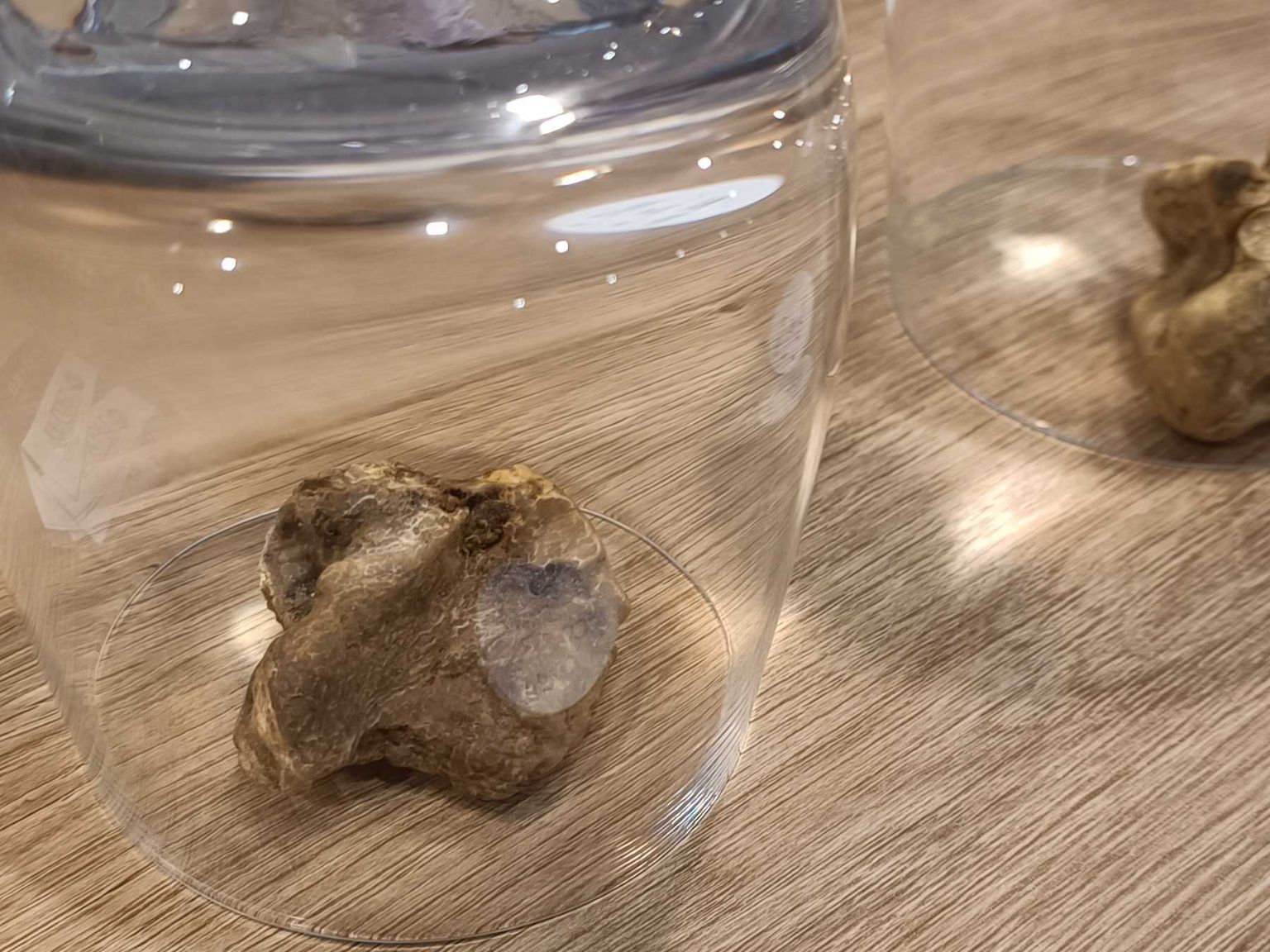 ett glas med ett stycke vit tryffel i det har en klistermärke på bordet som säger euro 340 per hektogram