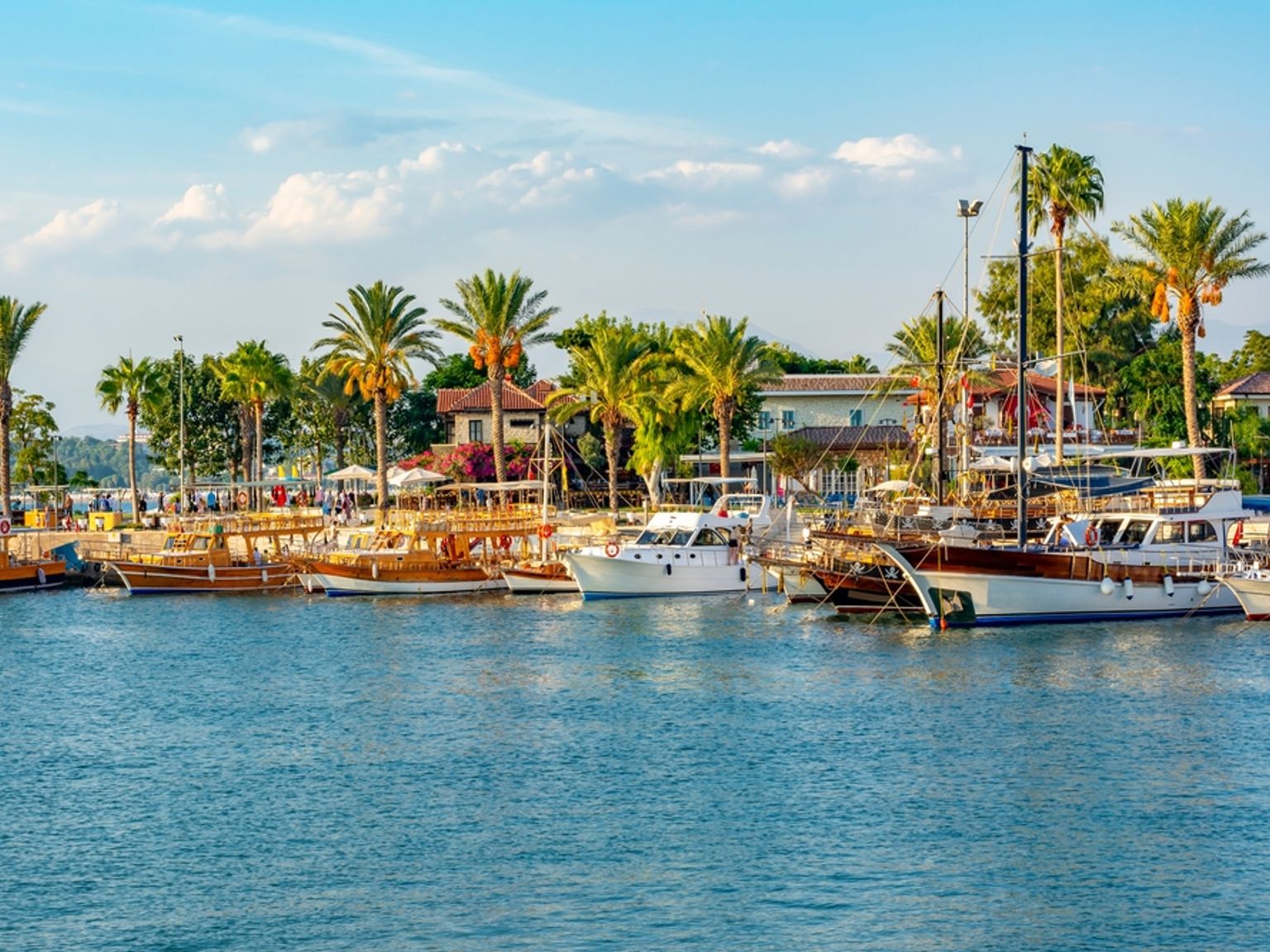 Både fortøjet i en havn med palmer og bygninger langs kysten. Side, Tyrkiet