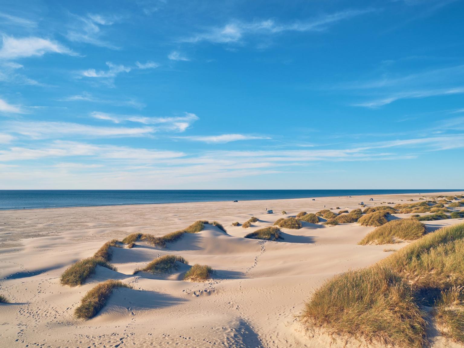 sanddyner på stranden nära havet.
