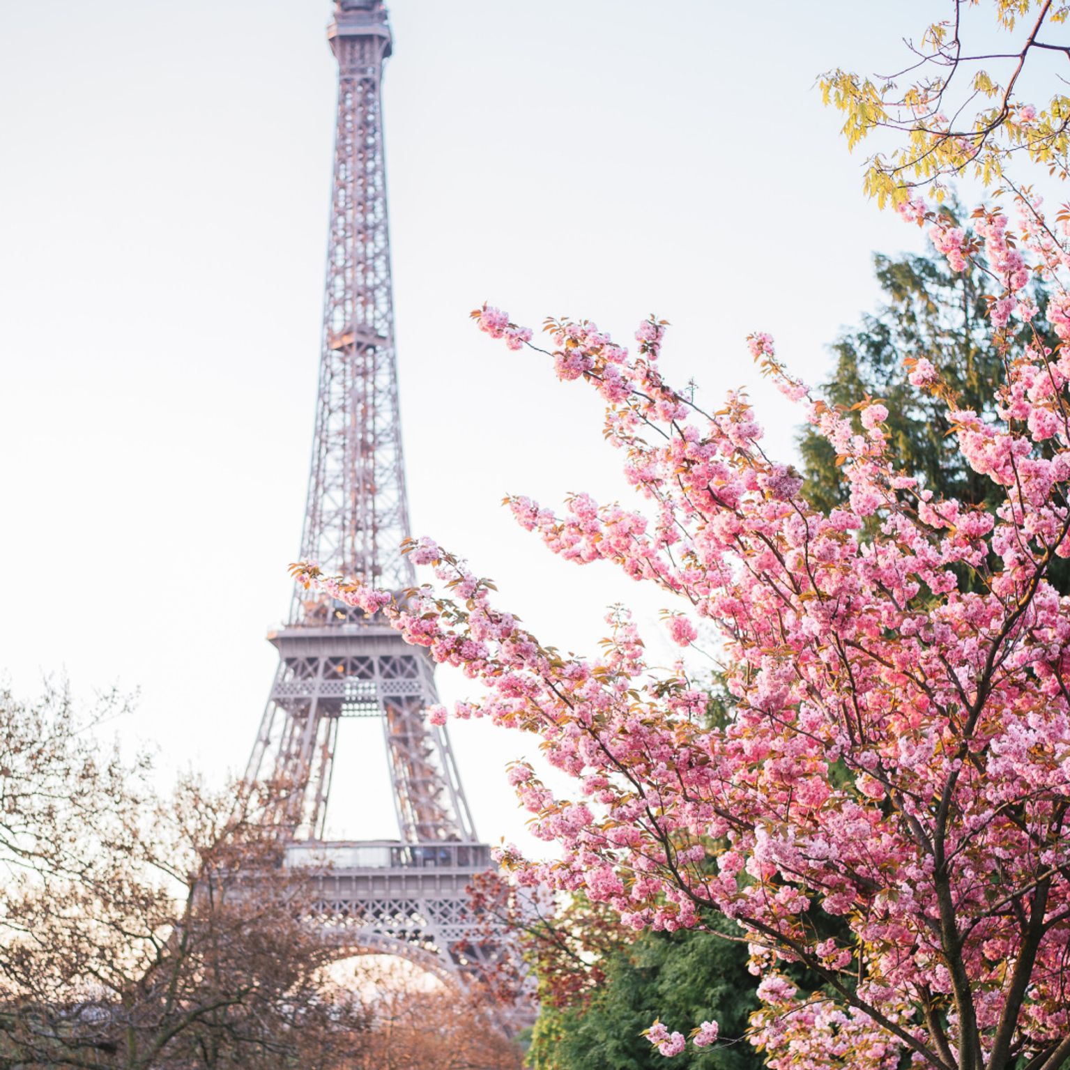 Rejser til Paris