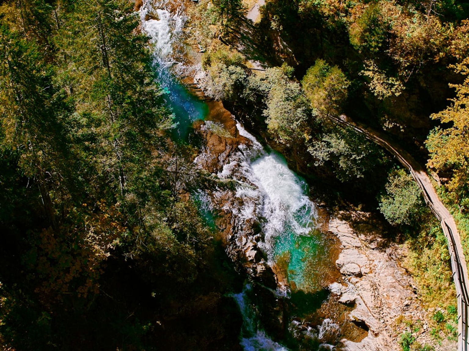 en flygvy över en flod som rinner genom en frodig grön skog