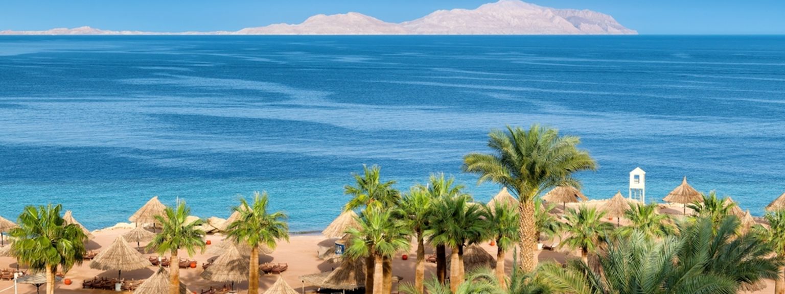 en strand med palmer och parasoller bredvid havet.