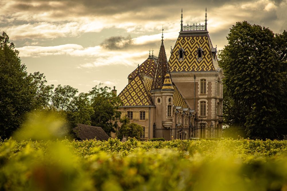 A chateau with yellow and dark patterned roofs rises above a vibrant green vineyard under a cloudy sky. Burgundy, France