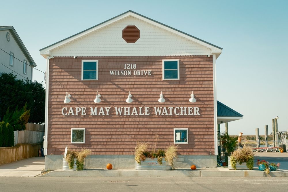En bygning med teksten "Cape May Whale Watcher" på sin rødbrune facade med træspån, med græskar og planter udenfor, og en kaj synlig til højre.