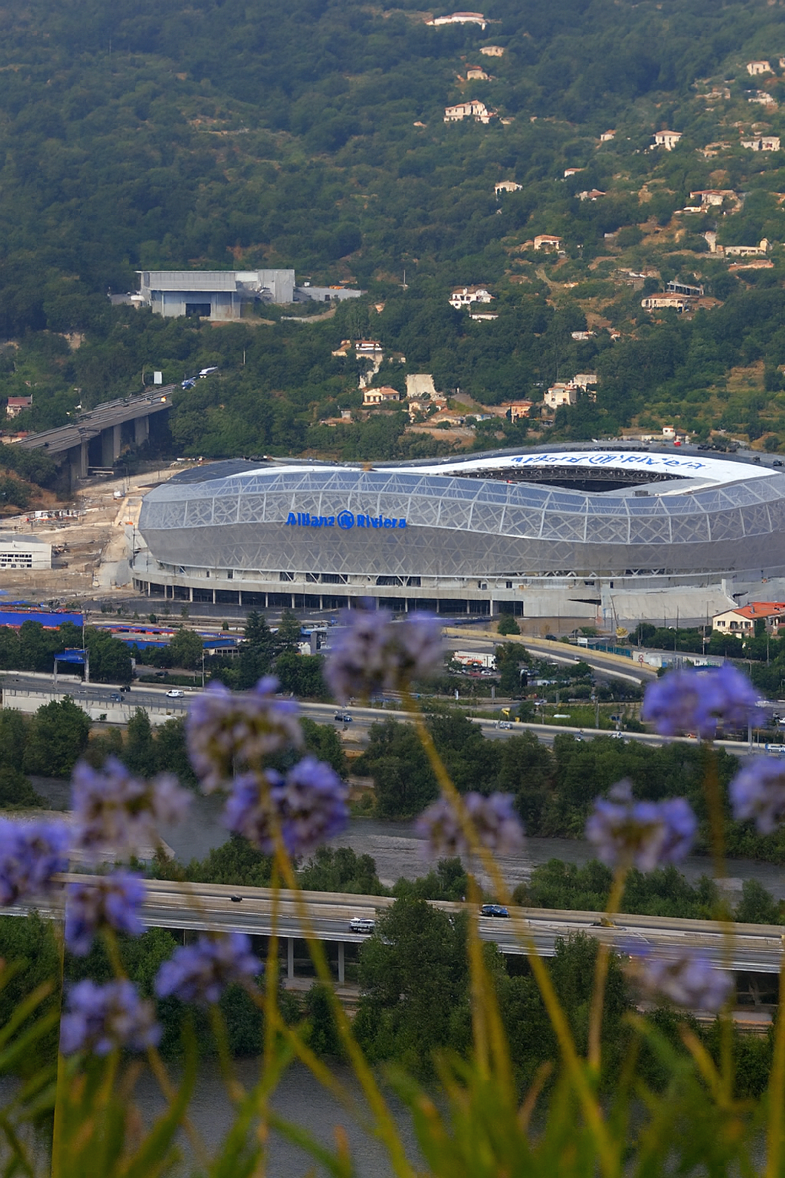 Estádio Allianz Riviera cercado por colinas arborizadas com casas e estradas, visto através de flores roxas desfocadas em primeiro plano.