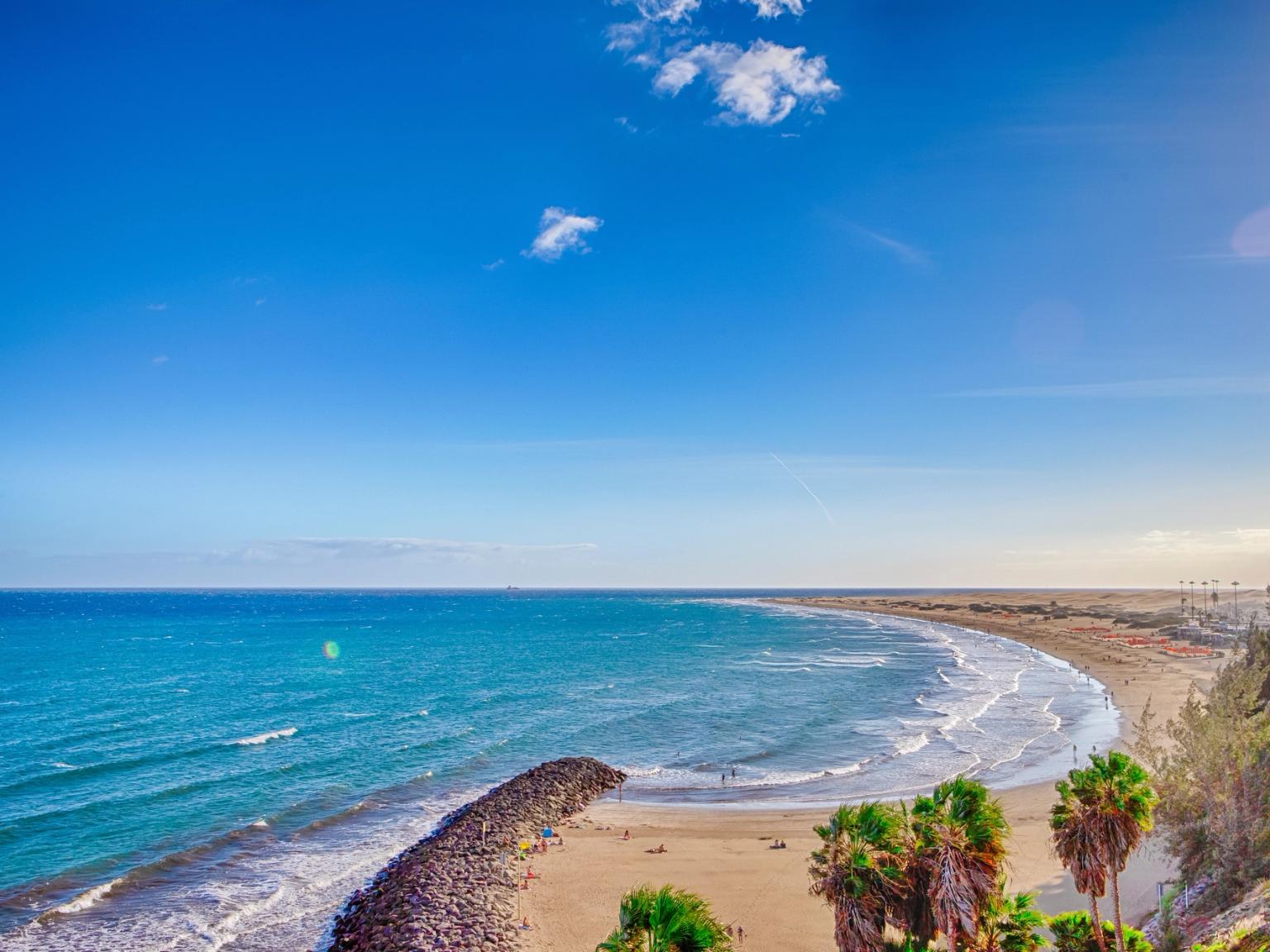 et luftfoto av en strand med palmetrær og en blå himmel