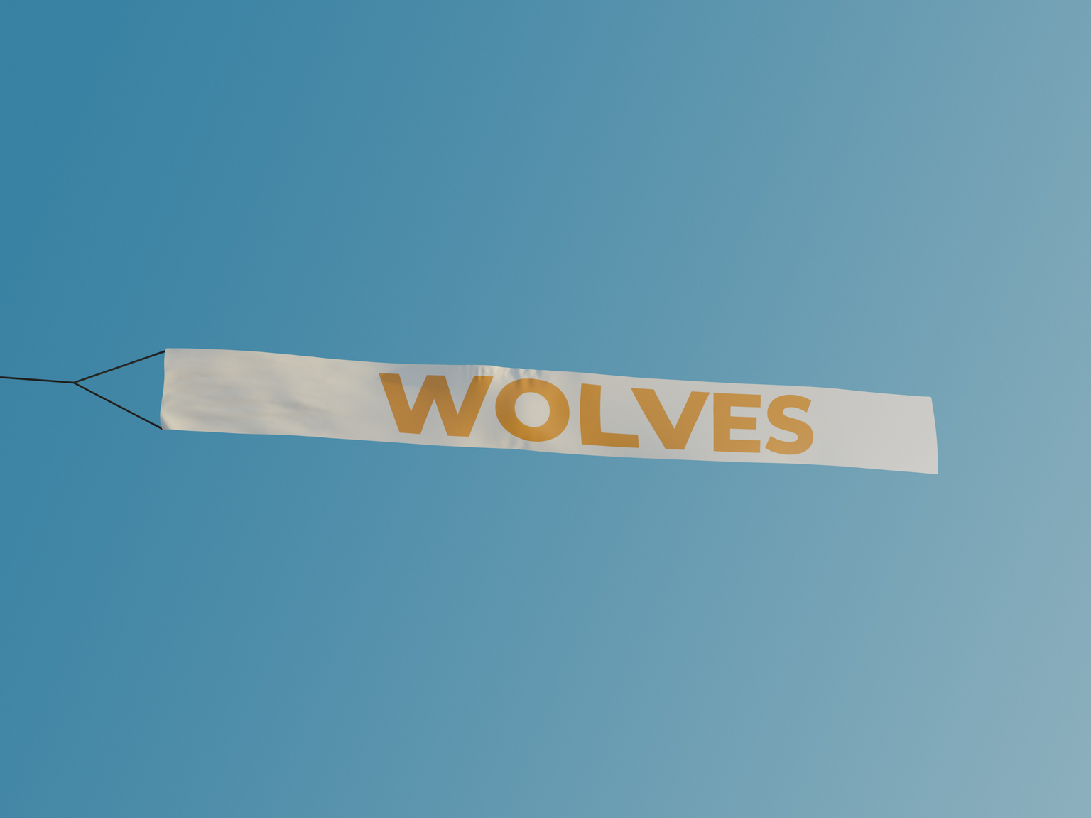 Wolverhampton Wanderers