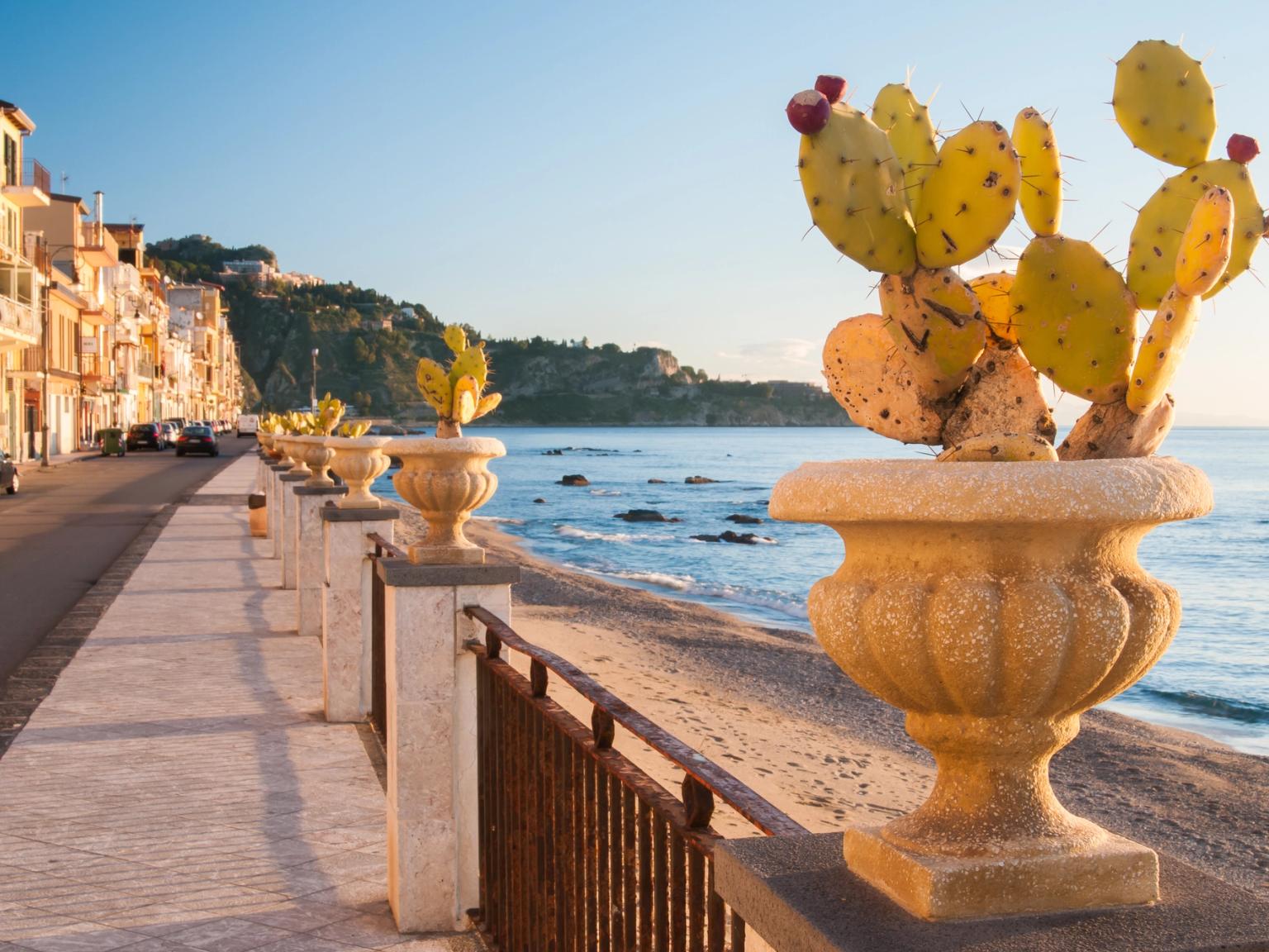 en kaktus i en vas på en trottoar bredvid havet