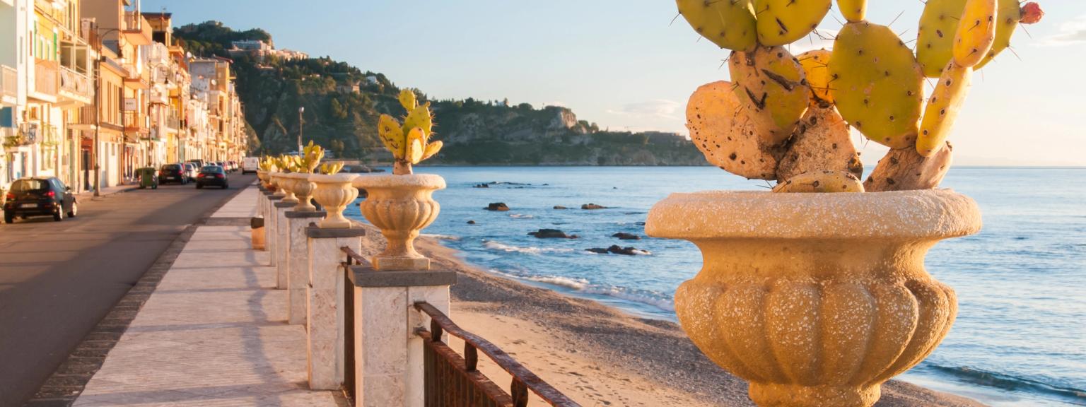 en kaktus i en vas på en trottoar bredvid havet