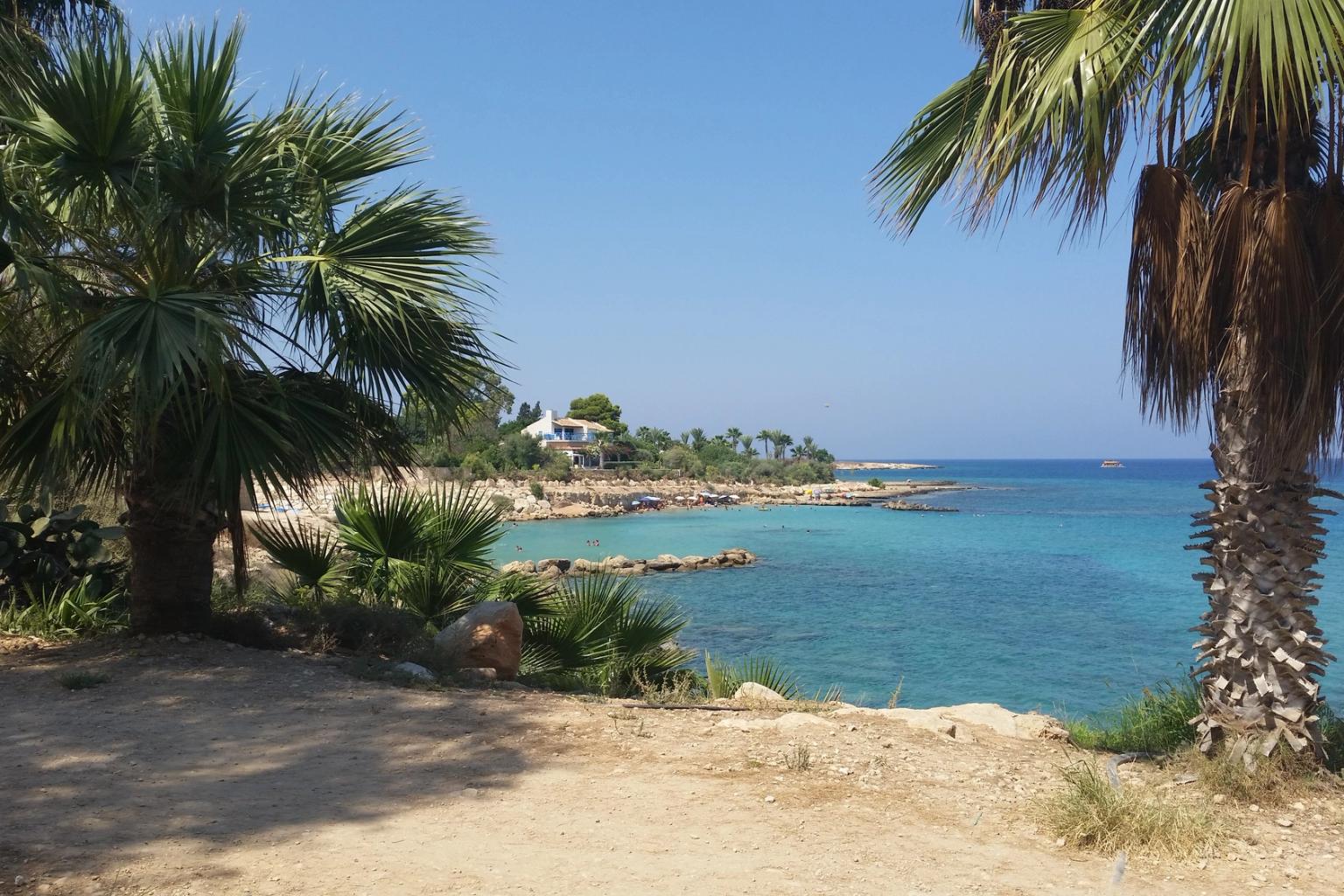 det finns palmer på stranden nära havet i Cypern
