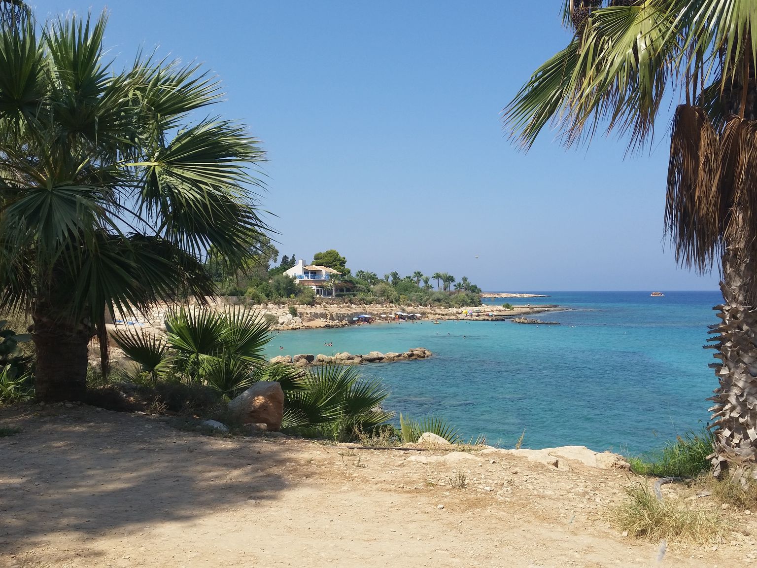 det finns palmer på stranden nära havet i Cypern
