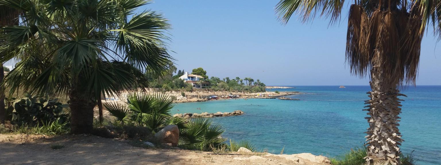 det finns palmer på stranden nära havet i Cypern