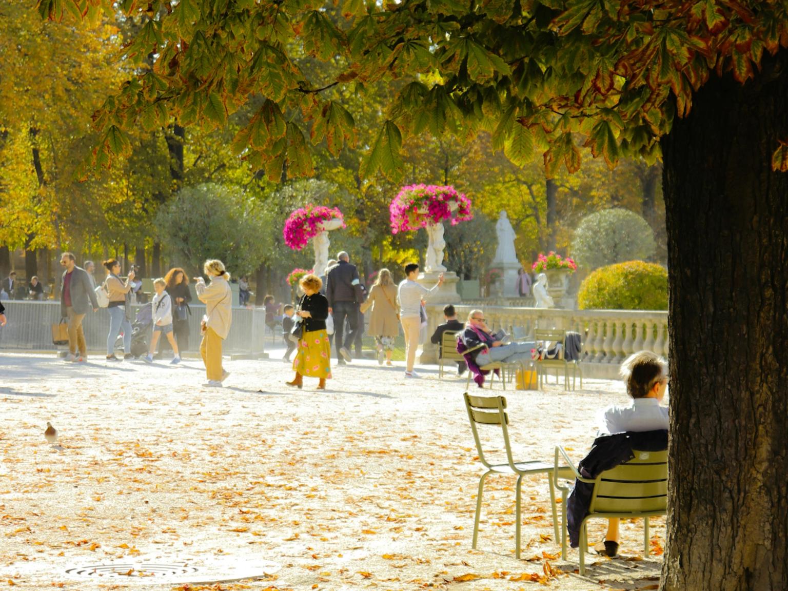 en kvinna sitter under ett träd i en park, Paris