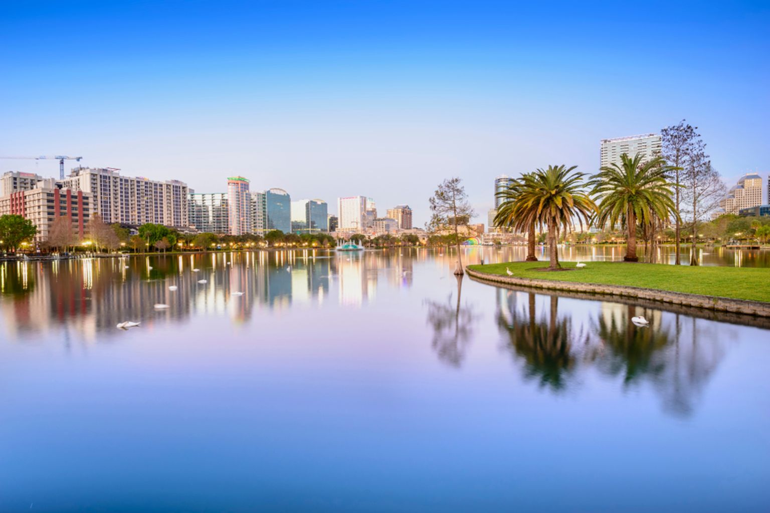 Byens skyline, der spejler sig i en sø med palmer. Orlando, Florida