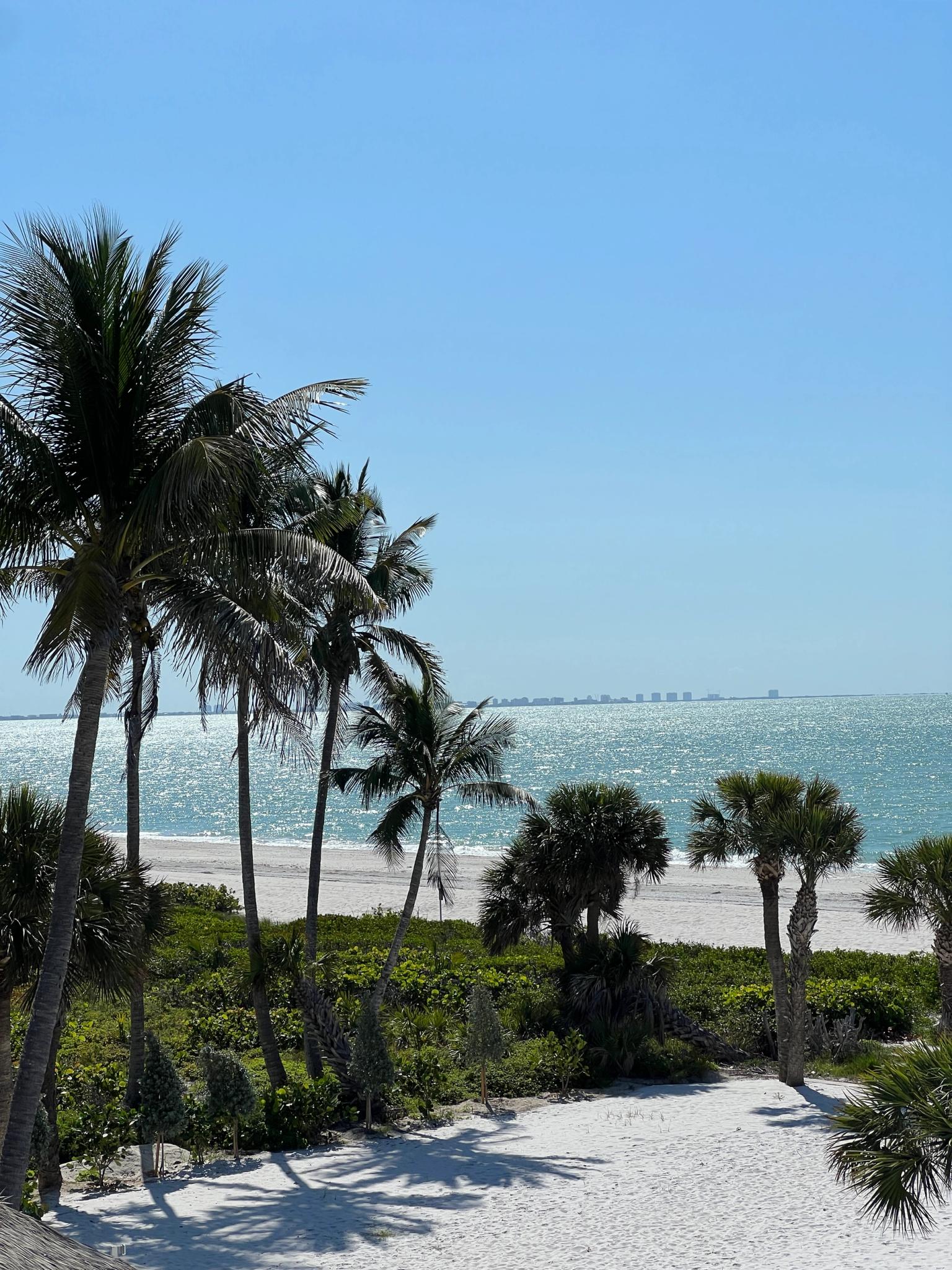 en strand med palmer og en by i det fjerne