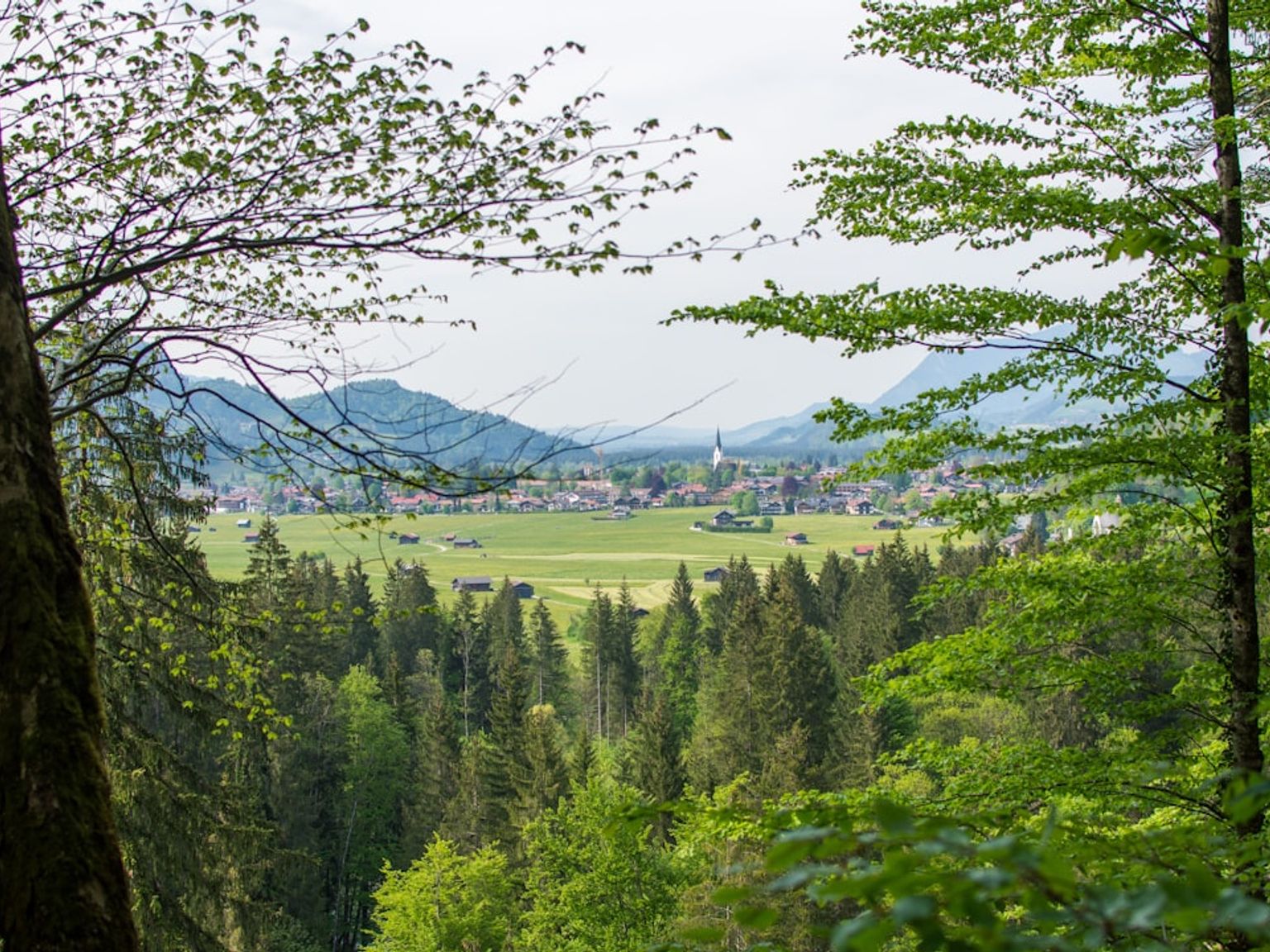 en vy av en by genom en skog med berg i bakgrunden