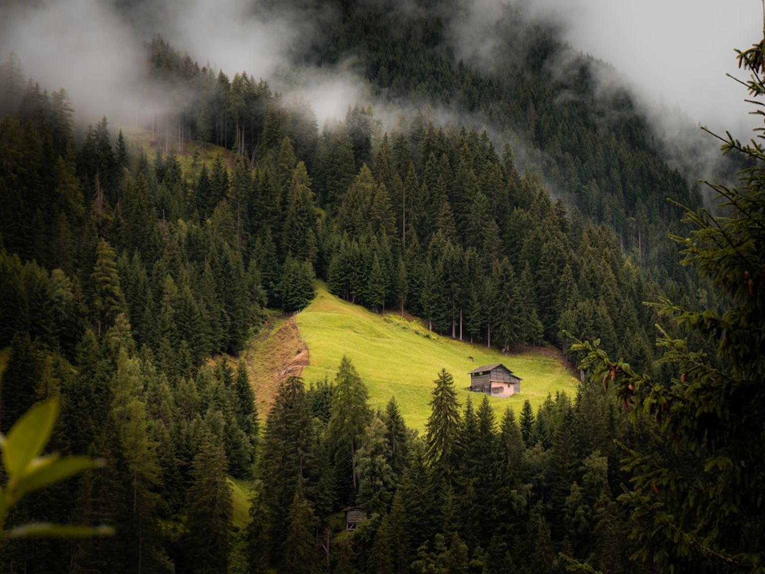 ett litet hus ligger på toppen av en kulle mitt i en skog.