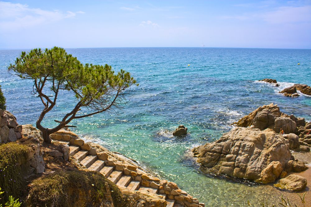 Fyrretræ og sten-trapper på en klippekyst, der fører ned til klart blåt havvand. Playa de Aro, Spanien